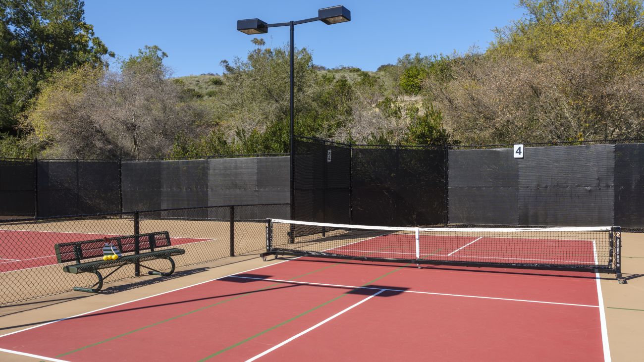 Pickleball Court